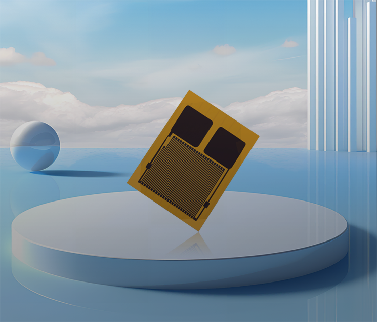 Sensor Fleksibel